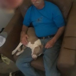 Meet your Posher, Jack